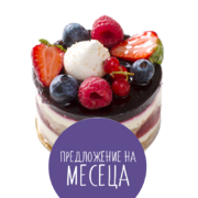 Предложение на месеца - Йогурт с горски плодове